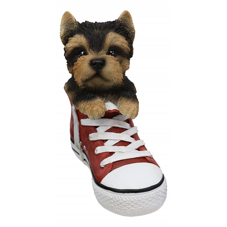 Dog shoes for on sale yorkies